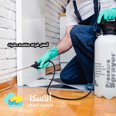 مكافحة-حشرات-فى-عجمان