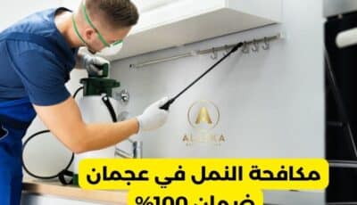 شركة مكافحة نمل في عجمان | خدمات احترافية بضمان 100%