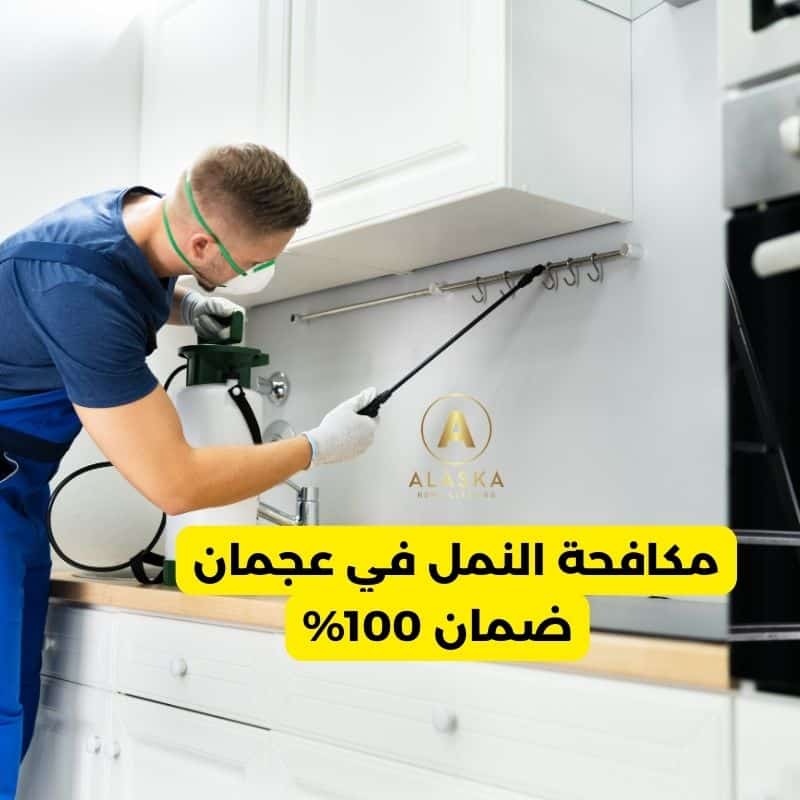 شركة مكافحة نمل عجمان